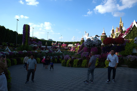 Dubai, United Arab Emirates, December 11, 2022, Dubai Miracle Garden located in the district of Dubailand is one of a kind in the region and the world for such a unique display and extravagant outdoor recreational destination visited by lot of people in wのeditorial素材