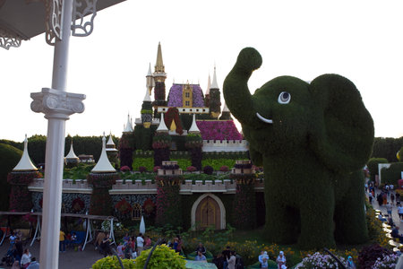 Dubai, United Arab Emirates, December 11, 2022, Dubai Miracle Garden located in the district of Dubailand is one of a kind in the region and the world for such a unique display and extravagant outdoor recreational destination visited by lot of people in wのeditorial素材