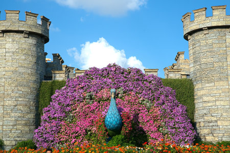 Dubai, United Arab Emirates, December 11, 2022, Dubai Miracle Garden located in the district of Dubailand is one of a kind in the region and the world for such a unique display and extravagant outdoor recreational destination visited by lot of people in wのeditorial素材