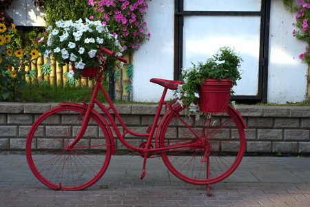 Dubai, United Arab Emirates, December 11, 2022, Dubai Miracle Garden located in the district of Dubailand is one of a kind in the region and the world for such a unique display and extravagant outdoor recreational destination visited by lot of people in wのeditorial素材