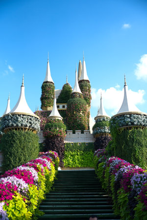Dubai, United Arab Emirates, December 11, 2022, Dubai Miracle Garden located in the district of Dubailand is one of a kind in the region and the world for such a unique display and extravagant outdoor recreational destination visited by lot of people in wのeditorial素材