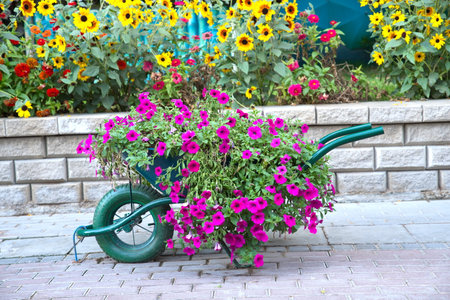 Dubai, United Arab Emirates, December 11, 2022, Dubai Miracle Garden located in the district of Dubailand is one of a kind in the region and the world for such a unique display and extravagant outdoor recreational destination visited by lot of people in wのeditorial素材