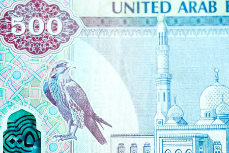 A high-quality, top-down view of United Arab Emirates currency (AED), featuring a mix of colorful...