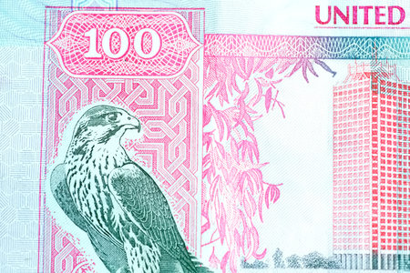 A high-quality, top-down view of United Arab Emirates currency (AED), featuring a mix of colorful...