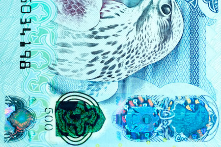 A high-quality, top-down view of United Arab Emirates currency (AED), featuring a mix of colorful...
