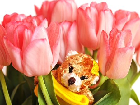 sweet teddy bear with flowersの写真素材
