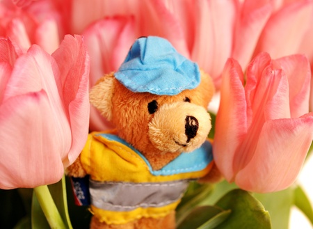sweet teddy bear with flowersの写真素材