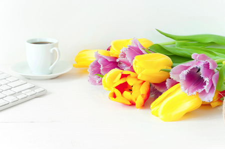 Tulips on white wood tableの写真素材