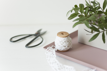 Elegant composition with pink tray and boxの写真素材