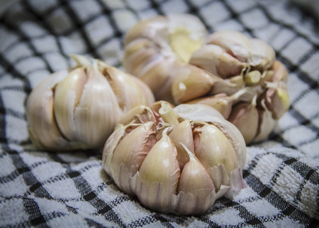 Few Garlic bulbs on the top of a kitchen clothの写真素材