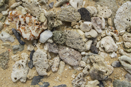 Broken corals on the beautiful and pristine beachの写真素材