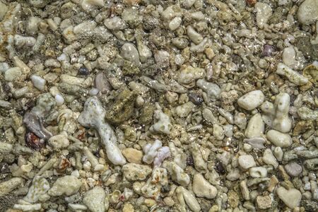 The waves wash broken corals on the beachの写真素材