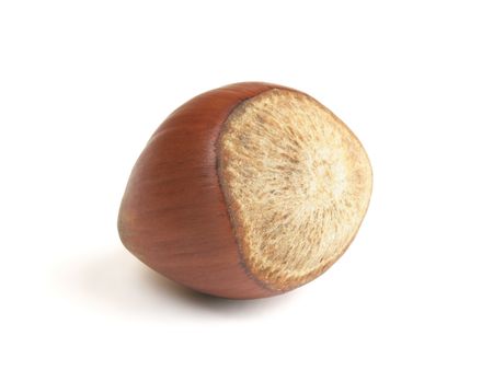 ripe hazelnut with shadow over white backgroundの写真素材