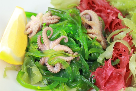 salad of green and red algae with an octopus on white backgroundの写真素材