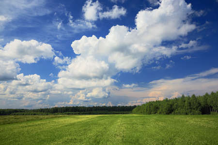 Classic landscape - green meadow, forest on the background and clouds in the deep blue skyの写真素材