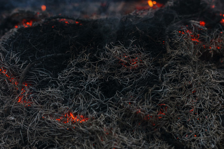 in a pine forest fire burning branches and trees macro shooting fireの写真素材