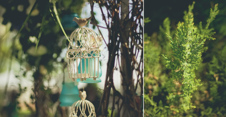 White decorative cage with beautiful flowers suspension cellsの写真素材