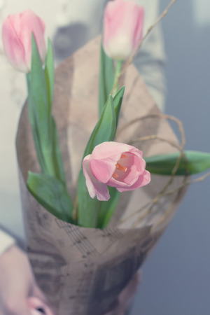 bouquet of pink tulips gentle tones flowerの写真素材