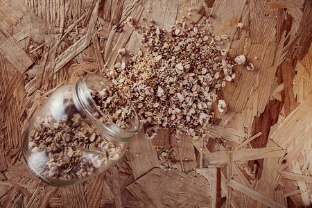 Collection Set of Cereal Grains: Millet, Oat, Corn, Rice, Buckwheat, closeup, shot on a wooden surface, scattered from the bank, the top viewの写真素材