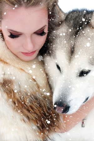 winter, christmas, animal, people, beauty concept- Young woman with wolf dog in snow over snow backgroundの写真素材
