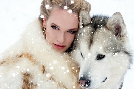 winter, christmas, animal, people, beauty concept- Young woman with wolf dog in snow over snow backgroundの写真素材