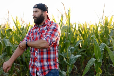 American farmer in cornfield. Farmer, close up of face in corn field. Farmer having fun and dancing, looking at camera. farming concept advanced technology in agricultureの写真素材