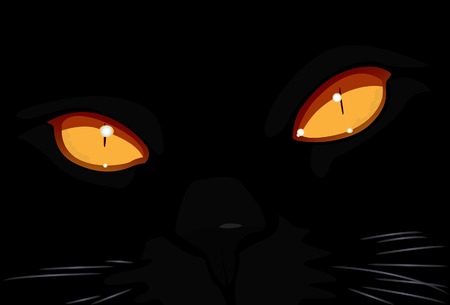 Muzzle of a black cat. Vector. Without mesh.のイラスト素材