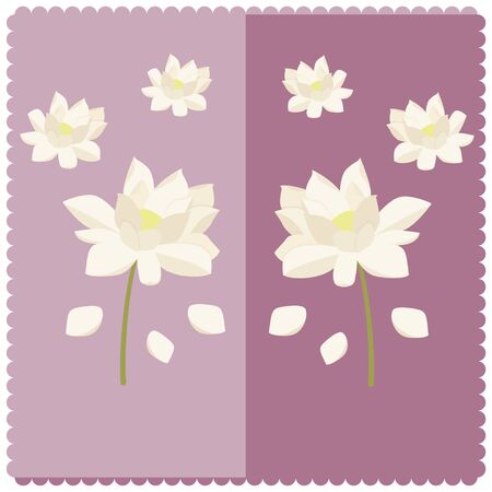 Illustration of a white lotus flower on a lilac backgroundのイラスト素材