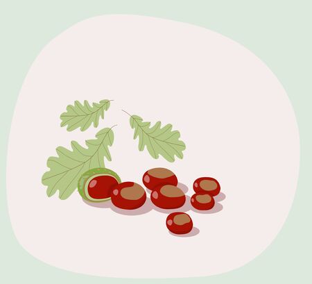 Illustration of chestnut composition on white backgroundのイラスト素材