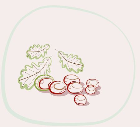 Illustration of chestnut composition on white backgroundのイラスト素材