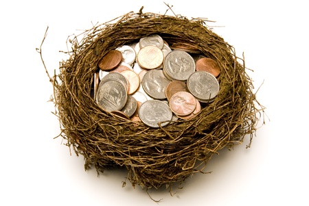 Nest full of money for savings   Everyone tries to have a little bit of savings   Isolated   Studio shot の写真素材