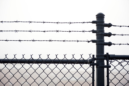 Wet Barbed Wire Fence In Dense Fog