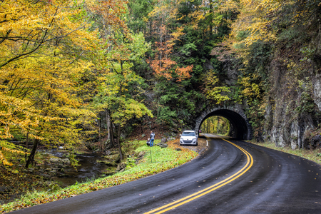 Great Smoky Mountains National Park, TN, USA â 11/2/2018: Tourists photograph Autumn color in the Smokiesのeditorial素材