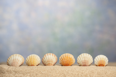 Horizontal shot of a seashell border in the sand below out of focus sky with copy space.の写真素材