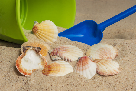 Close-up shot of a green bucket and blue shovel in beach sand.  There is a group of eight seashells sort of pouring out of the bucket.の写真素材