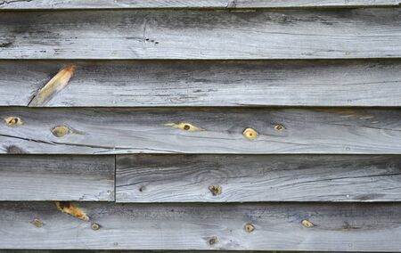 Horizontal close-up shot of old wide wood paneling with knotholes.