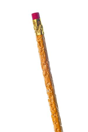 Vertical shot of the eraser end of one badly chewed pencil.  Leaning slightly to the left.  White background.の写真素材