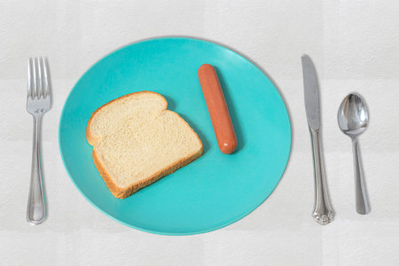 A simple illustration with one hot dog and one slice of bread.  This gives a visual illustrating the...