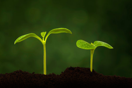 Horizontal shot of two squash sprouts in dirt with green background and copy space.