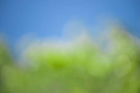 Horizontal shot of springtime blue and green out of focus background with copy space.の写真素材