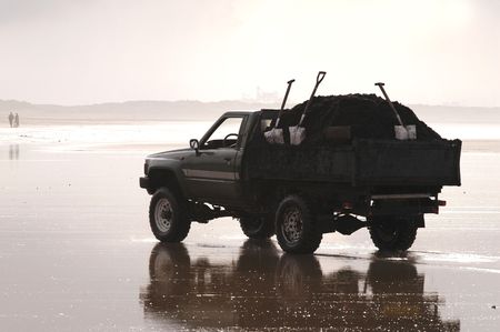Beach Cleaning