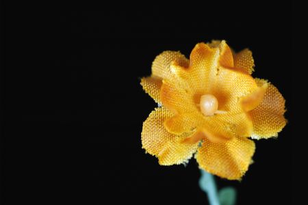 Orange silk flower.の写真素材