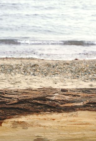 horizontal abstract of beach driftwoodの写真素材