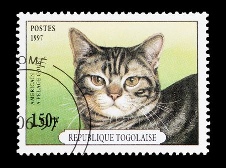 mail stamp printed in Togo featuring an American Shorthair catの写真素材