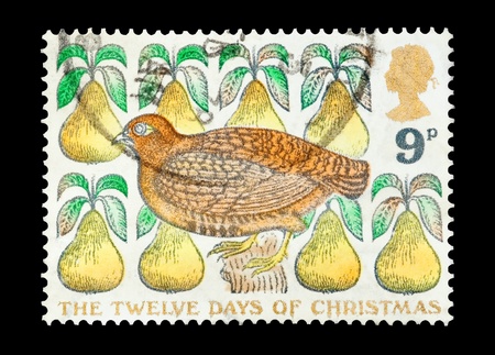 christmas mail stamp printed in the UK featuring a partridge in a pear treeの写真素材