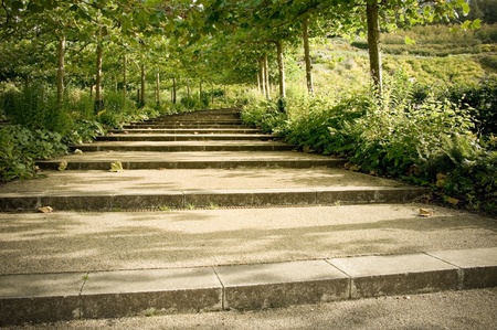 cascade of tree lined pathway steps through a formal gardenの写真素材