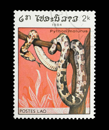 Mail stamp printed in Lao featuring an Indian python snake wrapped around a tree, circa 1984のeditorial素材