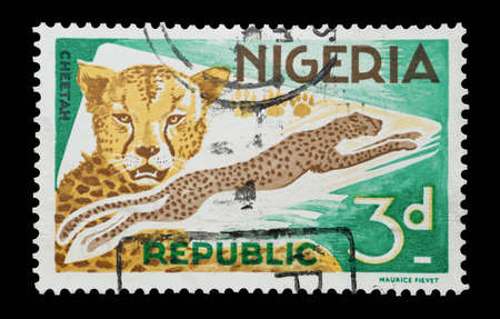 Mail stamp printed in Nigeria featuring a leaping cheetah big cat, circa 1965のeditorial素材
