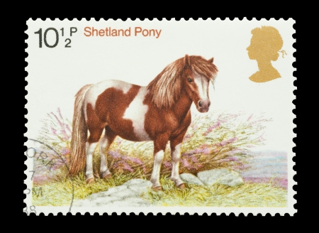 United Kingdom - circa 1978: Mail stamp printed in the UK featuring a Sheltand pony standing in heather.のeditorial素材