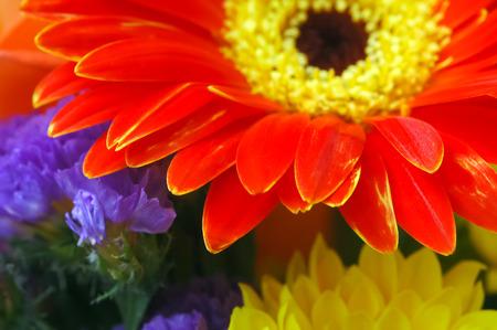 bouquet of colorful summer flowersの写真素材
